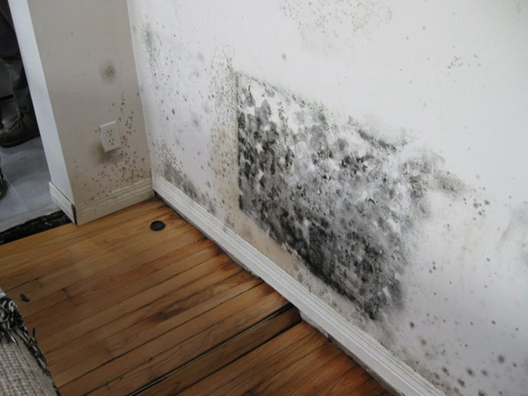 Mold #1