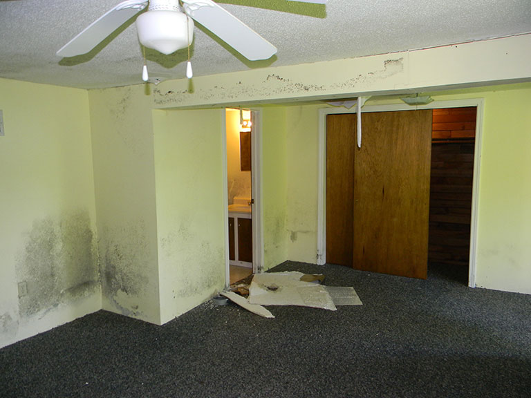 Mold #2